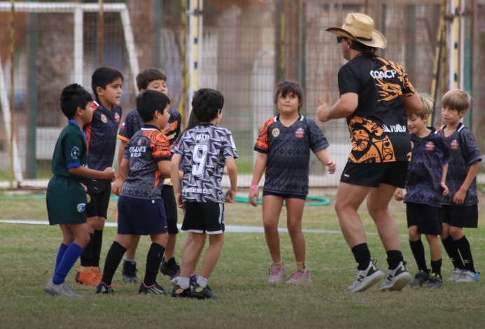 Entrenamiento